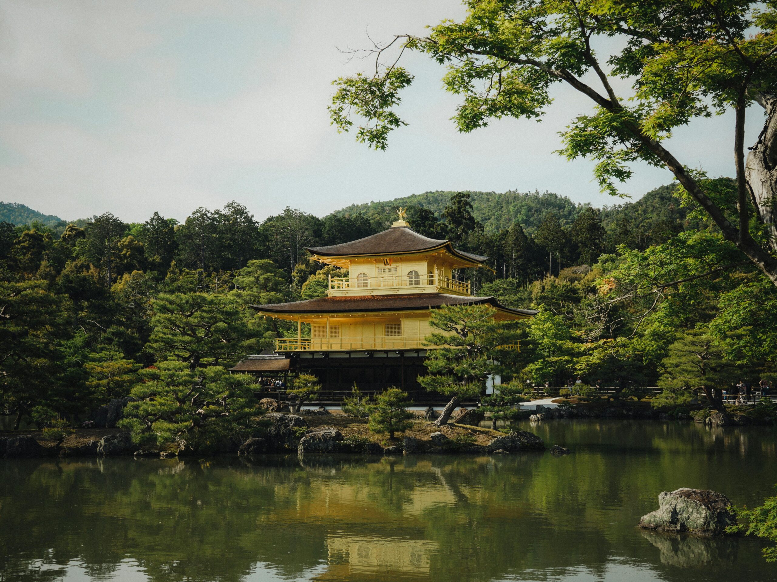 things to do in kyoto