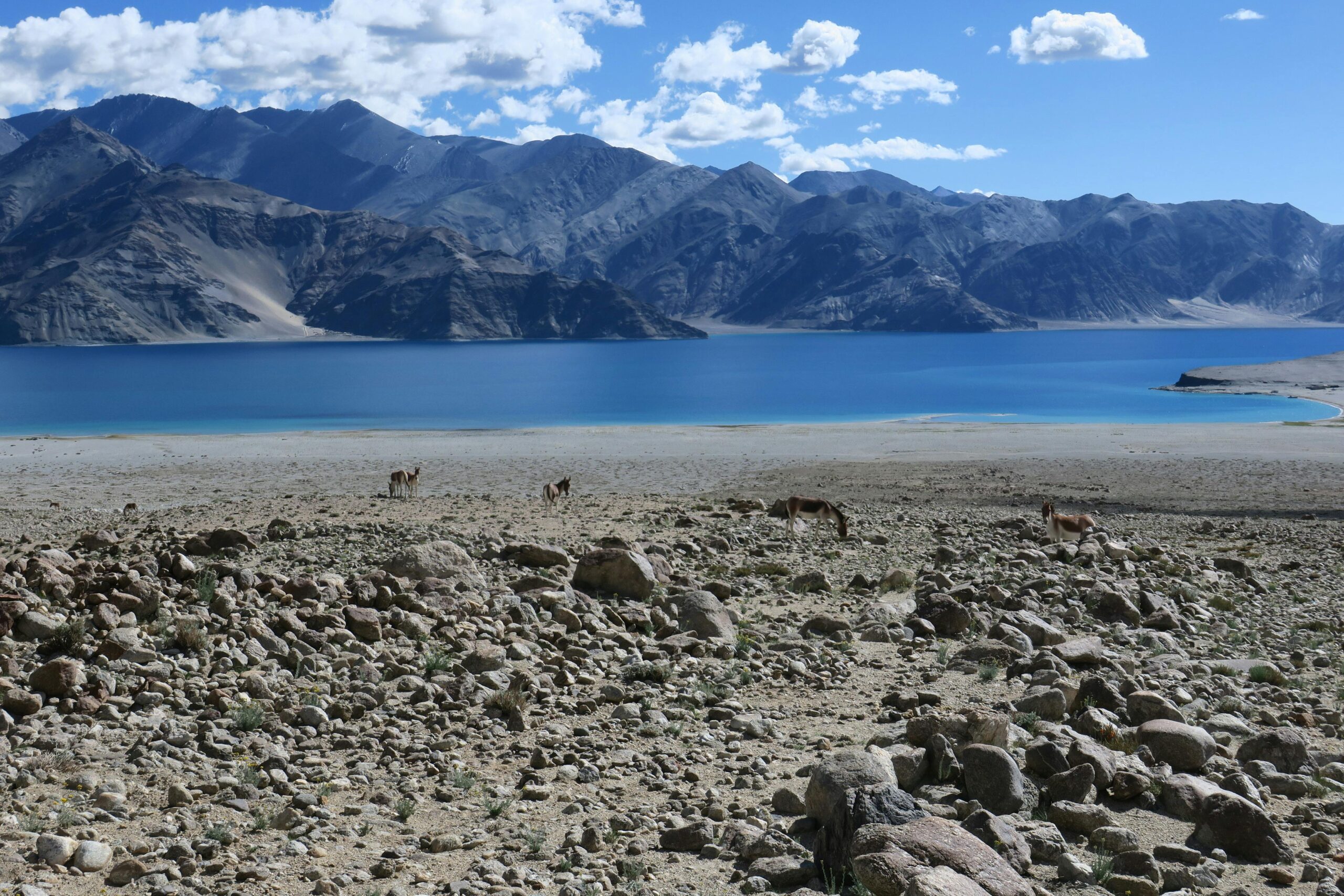 things to do in tasmania