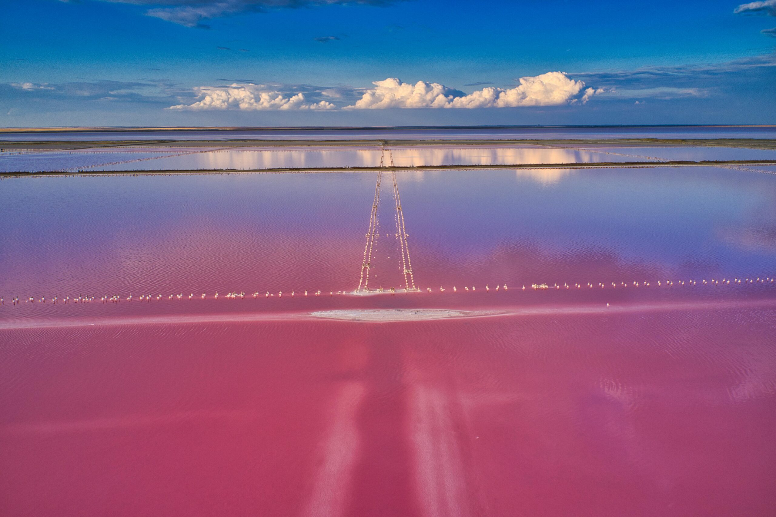 pink lake australia