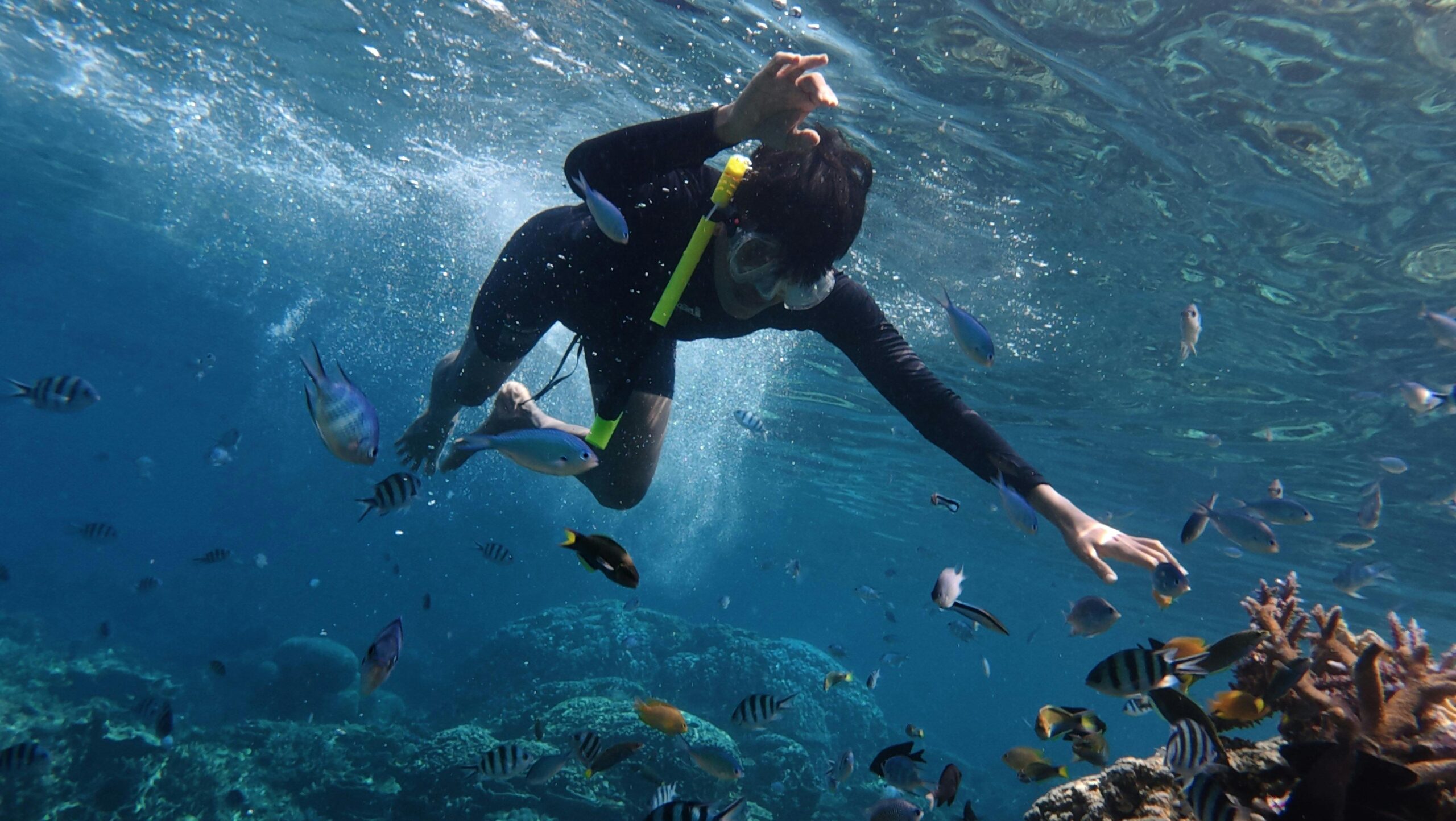 snorkeling